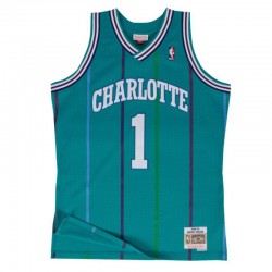 charlotte hornets alternate jersey