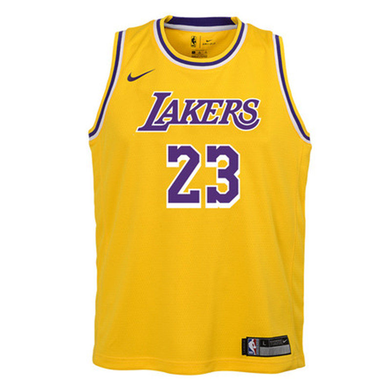 Camiseta NBA Lebron James Los Angeles Lakers Icon Edition