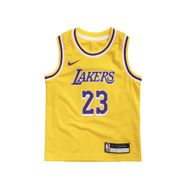 lebron lakers jersey kids