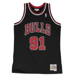 Buy Dennis Rodman Chicago Bulls 