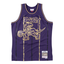 retro raptors jersey