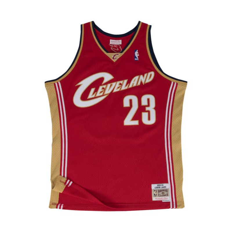 lebron james cavaliers jersey for sale