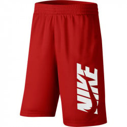 nike dri fit shorts junior