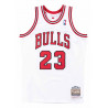 Michael Jordan Chicago Bulls 95-96 Authentic
