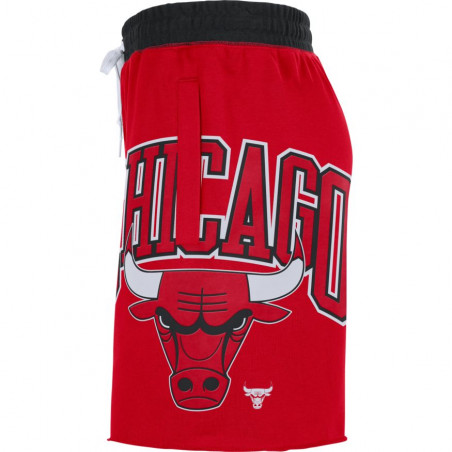 Chicago Bulls NBA's 75th Anniversary Shorts
