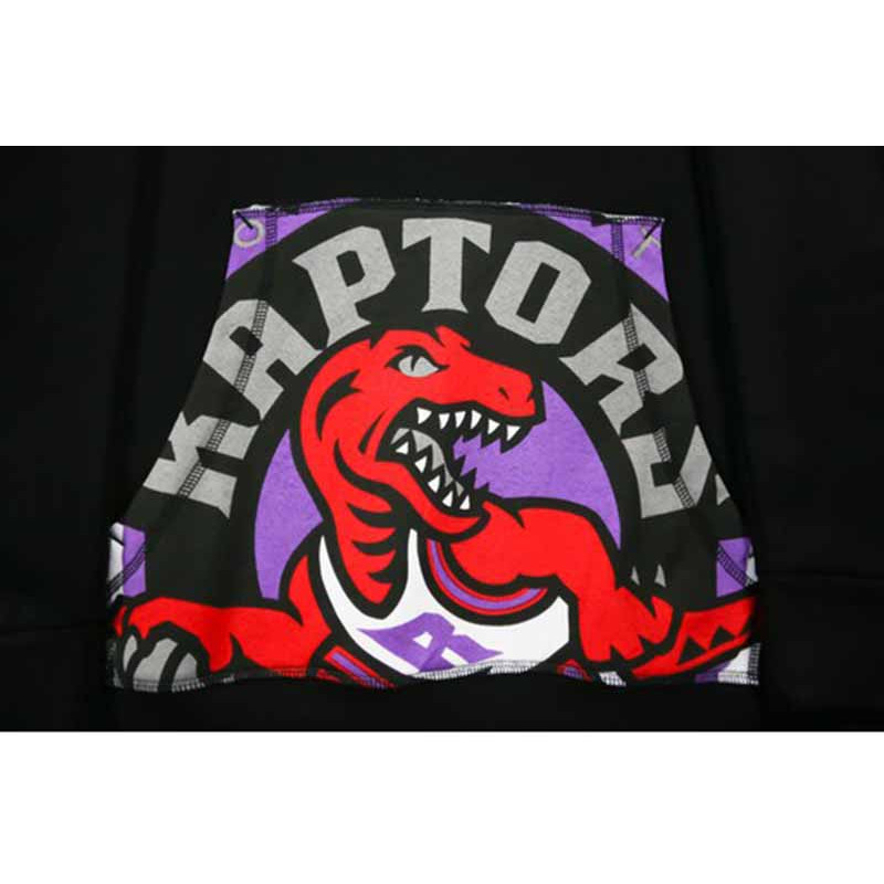 Toronto Raptors Cropped Logo Hoodie