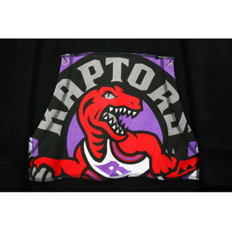 Toronto Raptors Cropped Logo Hoodie