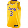 Anthony Davis Los Angeles Lakers 20-21 Icon Edition Swingman