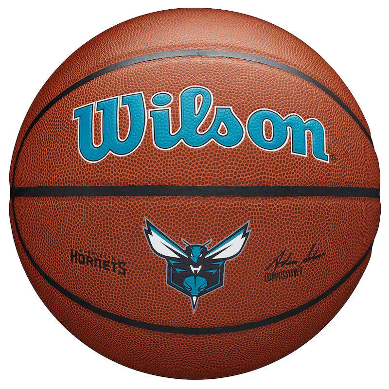 Mini canasta de baloncesto Detroit Pistons NBA Team - Mini canastas -  Material clubes - Espacio Clubs
