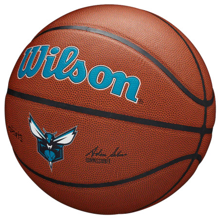 Wilson Charlotte Hornets NBA Team Alliance Basketball