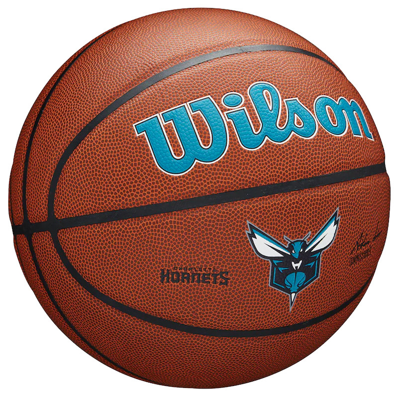 Wilson Charlotte Hornets NBA Team Alliance Basketball