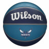 Pilota Wilson Charlotte Hornets NBA Team Tribute Basketball