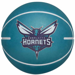 Wilson Charlotte Hornets...