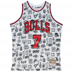 Toni Kukoc Chicago Bulls...