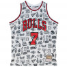 Toni Kukoc Chicago Bulls 97-98 Doodle Retro Swingman