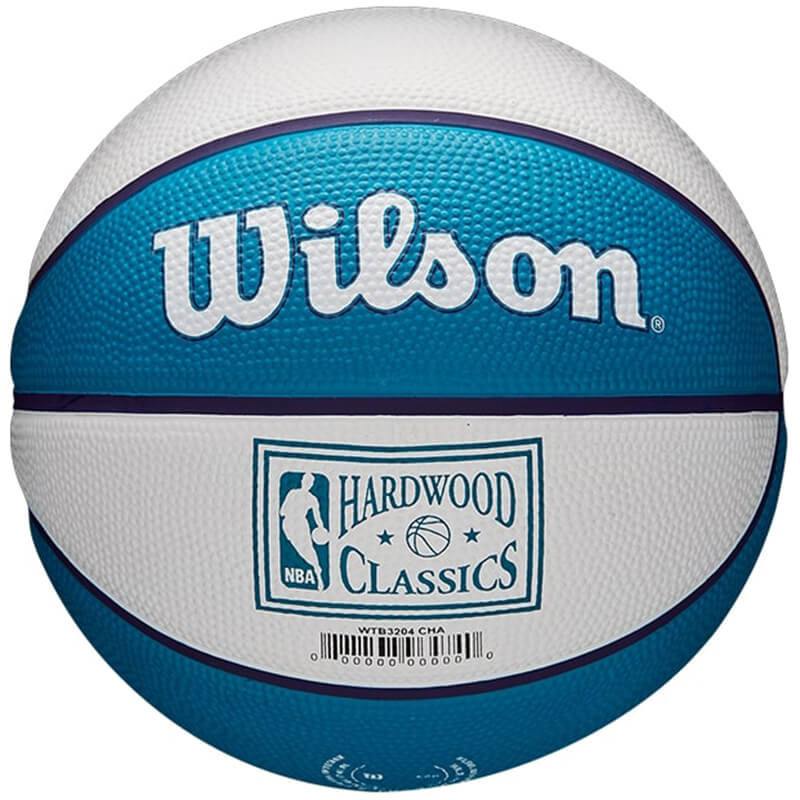 Wilson Charlotte Hornets NBA Team Retro Basketball Sz3