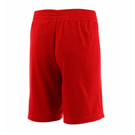 Junior Jordan Air Vert Basketball Red Shorts