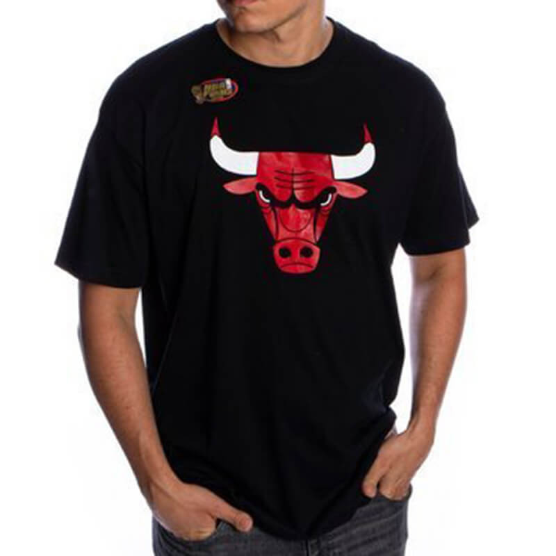 Camiseta Chicago Bulls NBA Team Logo