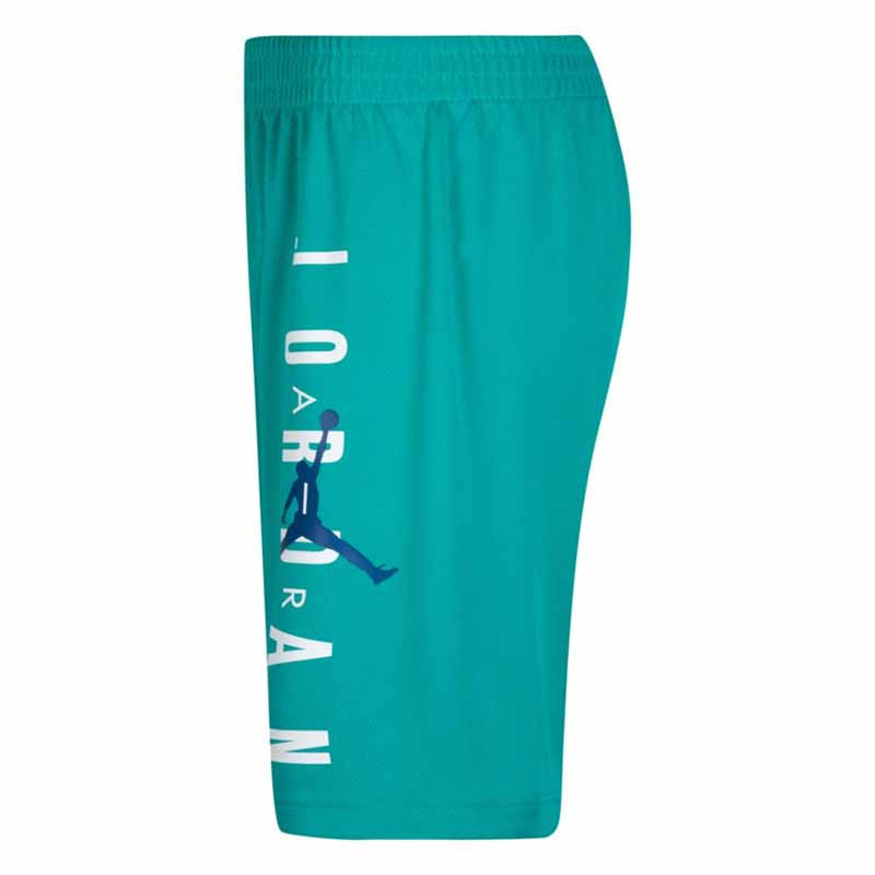 Junior Jordan Air Vert Basketball New Emerald Shorts