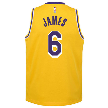 Junior LeBron James Los Angeles Lakers 22-23 Icon Edition Swingman