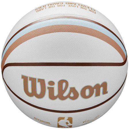 Wilson Cleveland Cavaliers NBA Team City Collector Ball