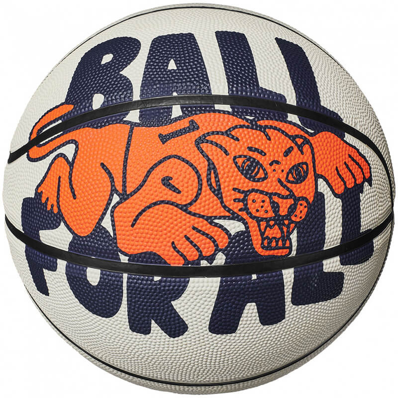 Nike Everyday Playground Graphic Ball For All Rattan Basketball Sz7