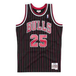 Steve Kerr Chicago Bulls...
