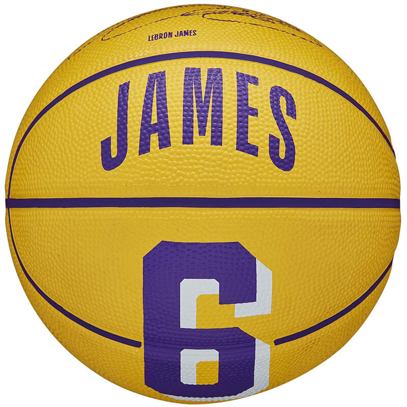 LeBron James Los Angeles Lakers NBA Player Icon Mini Basketball Sz3