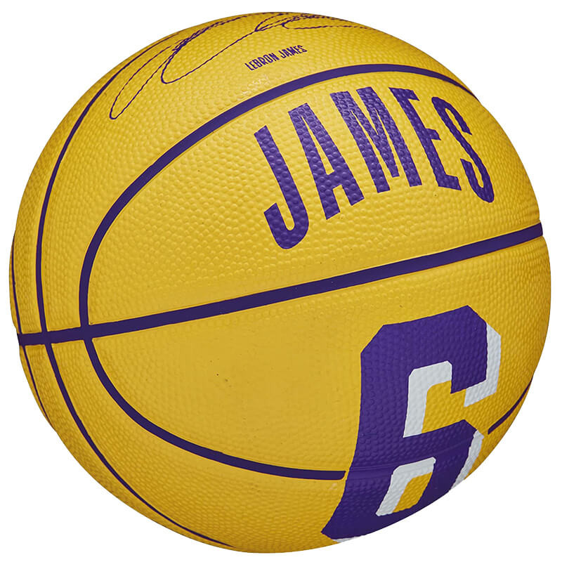 LeBron James Los Angeles Lakers NBA Player Icon Mini Basketball Sz3