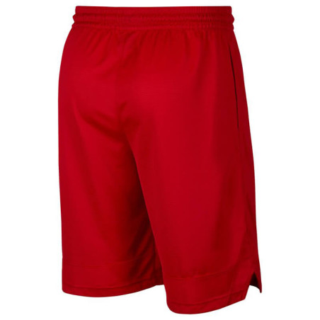 Nike Dri-FIT Icon Red Shorts