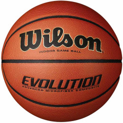 Wilson Evolution Indoor...