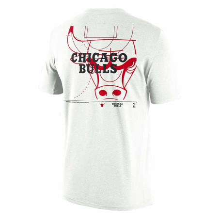 Camiseta Junior Nike NBA Essential Chicago Bulls