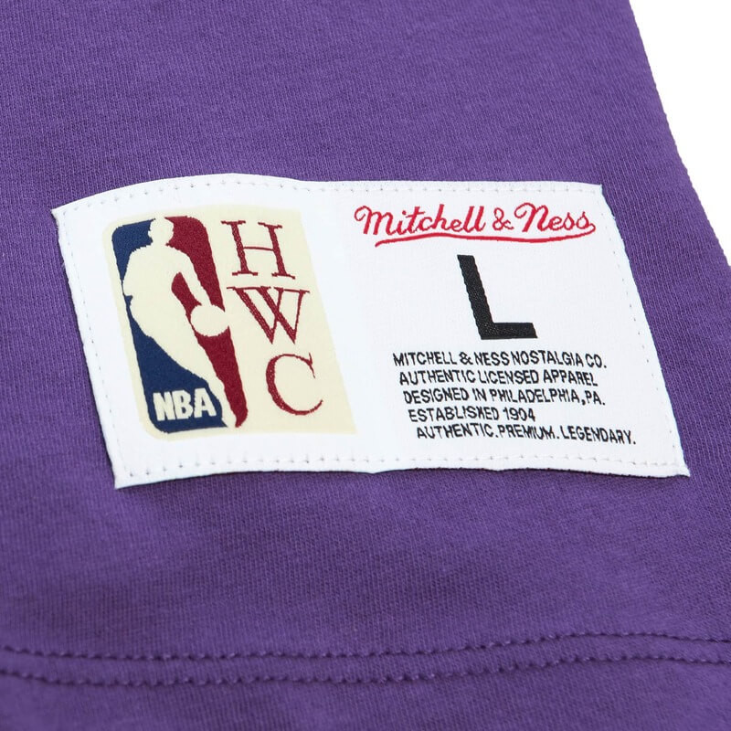 Camiseta Los Angeles Lakers Color Blocked Purple