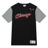 Camiseta Chicago Bulls...