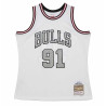 Dennis Rodman Chicago Bulls 97-98 Cracked Cement Swingman
