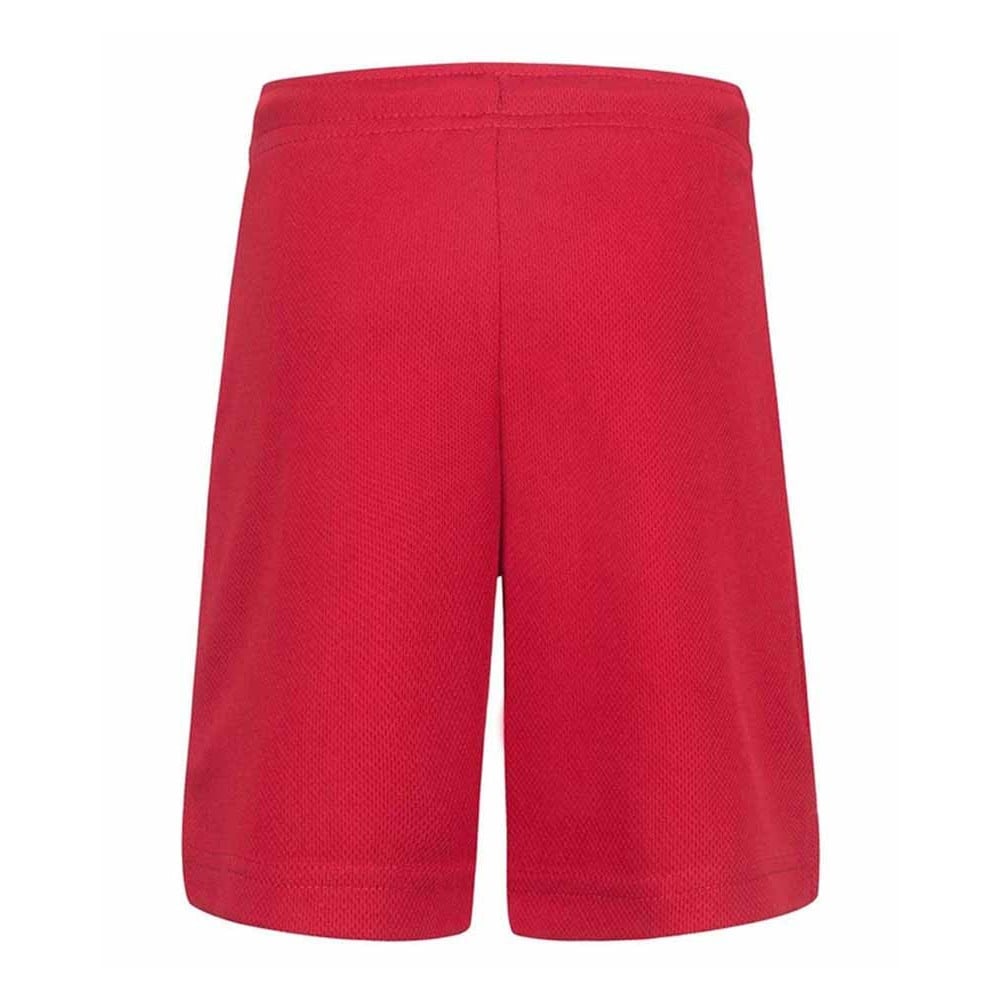 Junior Jordan Essentials Graphic Mesh Pant Red