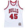 Michael Jordan Chicago Bulls 94-95 White Authentic