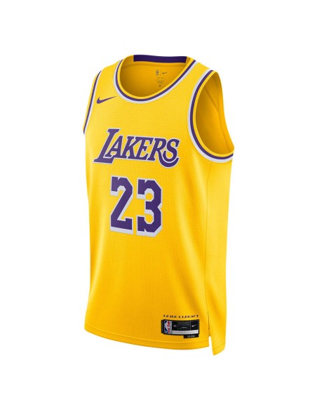 Buy LeBron James Los Angeles Lakers 23-24 Icon Ed Swingman | 24Segons