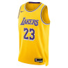 LeBron James Los Angeles Lakers 23-24 Icon Edition Swingman