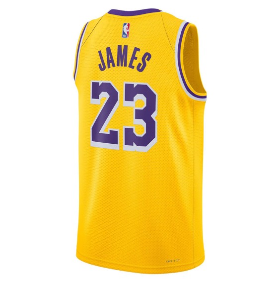 Buy LeBron James Los Angeles Lakers 23-24 Icon Ed Swingman | 24Segons