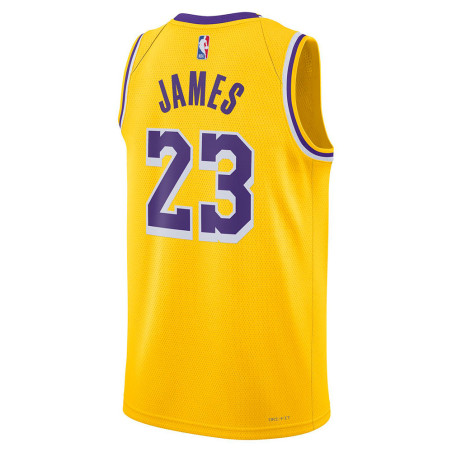 LeBron James Los Angeles Lakers 23-24 Icon Edition Swingman