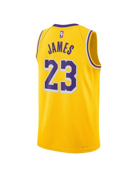 Buy LeBron James Los Angeles Lakers 23-24 Icon Ed Swingman | 24Segons