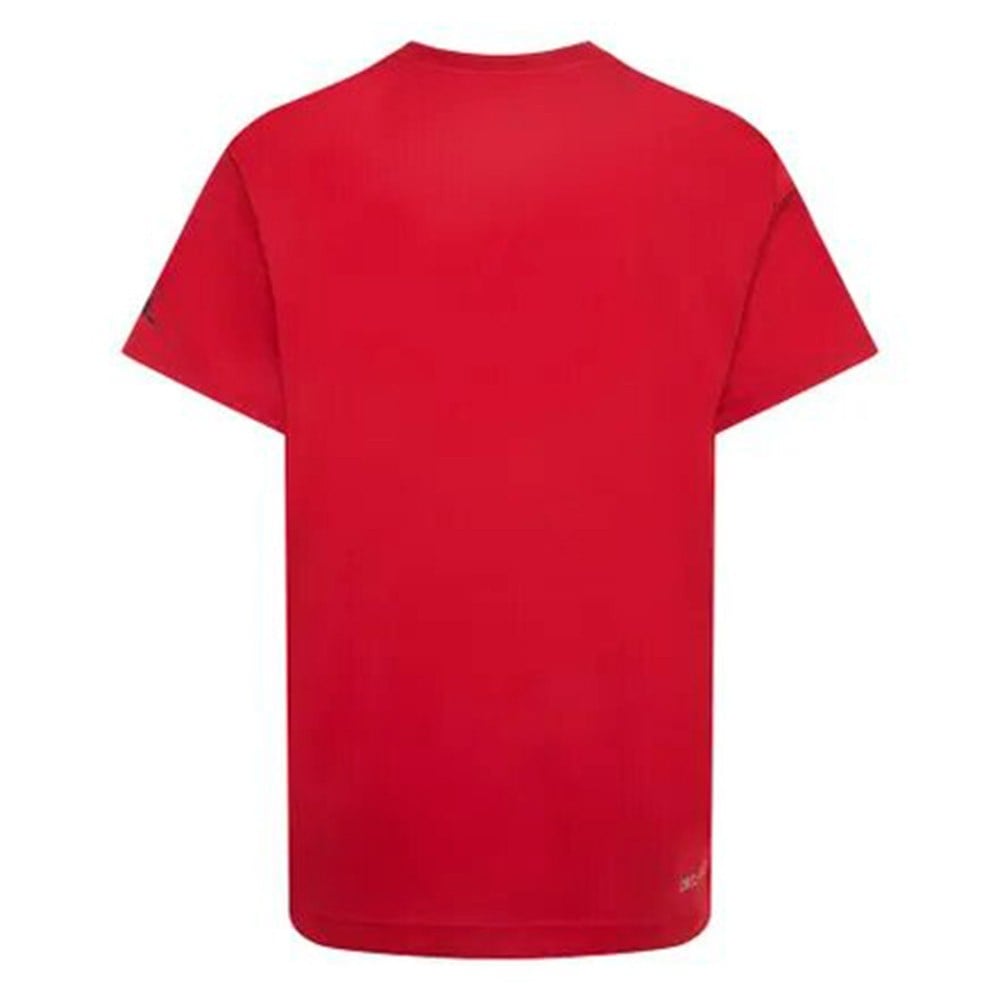 Camiseta Junior Jordan Reflective Flight Dri-FIT Red