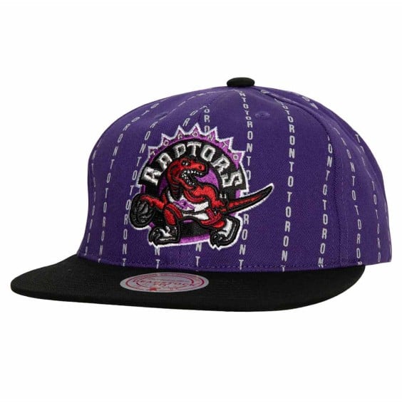 NBA Acquista il cappello Toronto Raptors City Pinstripe Deadstock| 24Segons