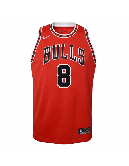 Buy Junior Zach Lavine Chicago Bulls 22-23 Icon Edition | 24Segons