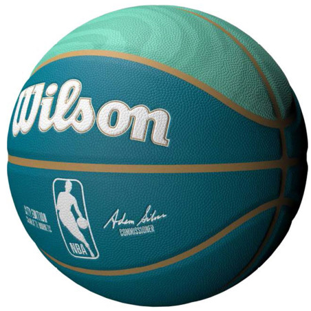 Charlotte Hornets City Edition Collector Series Sz7 Ball