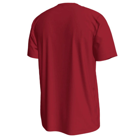 Camiseta Junior Miami Heat Essential Logo Red