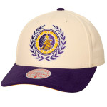 Los Angeles Lakers Collegiate Pro Snapback Cap
