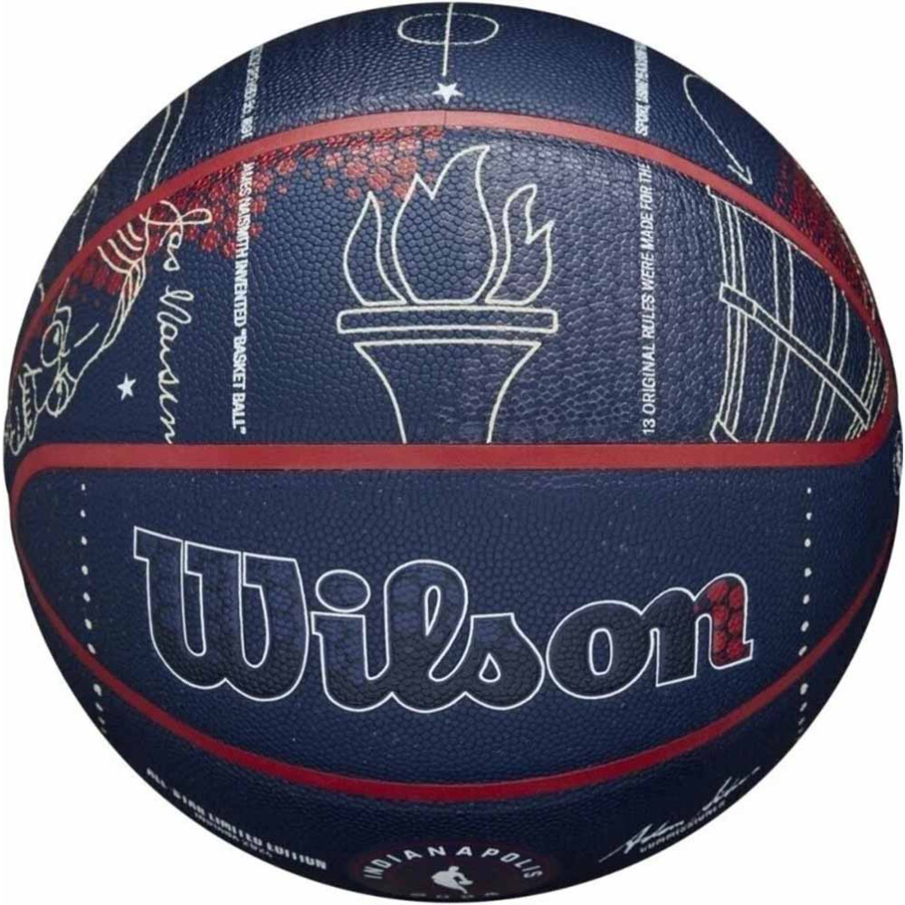 Wilson NBA 2024 All Star Collector Basketball Sz7