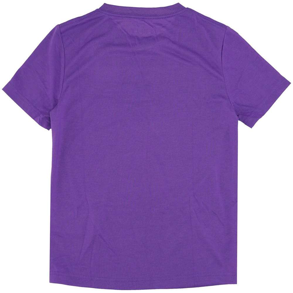Camiseta Junior Jordan Sustainable Graphic Purple
